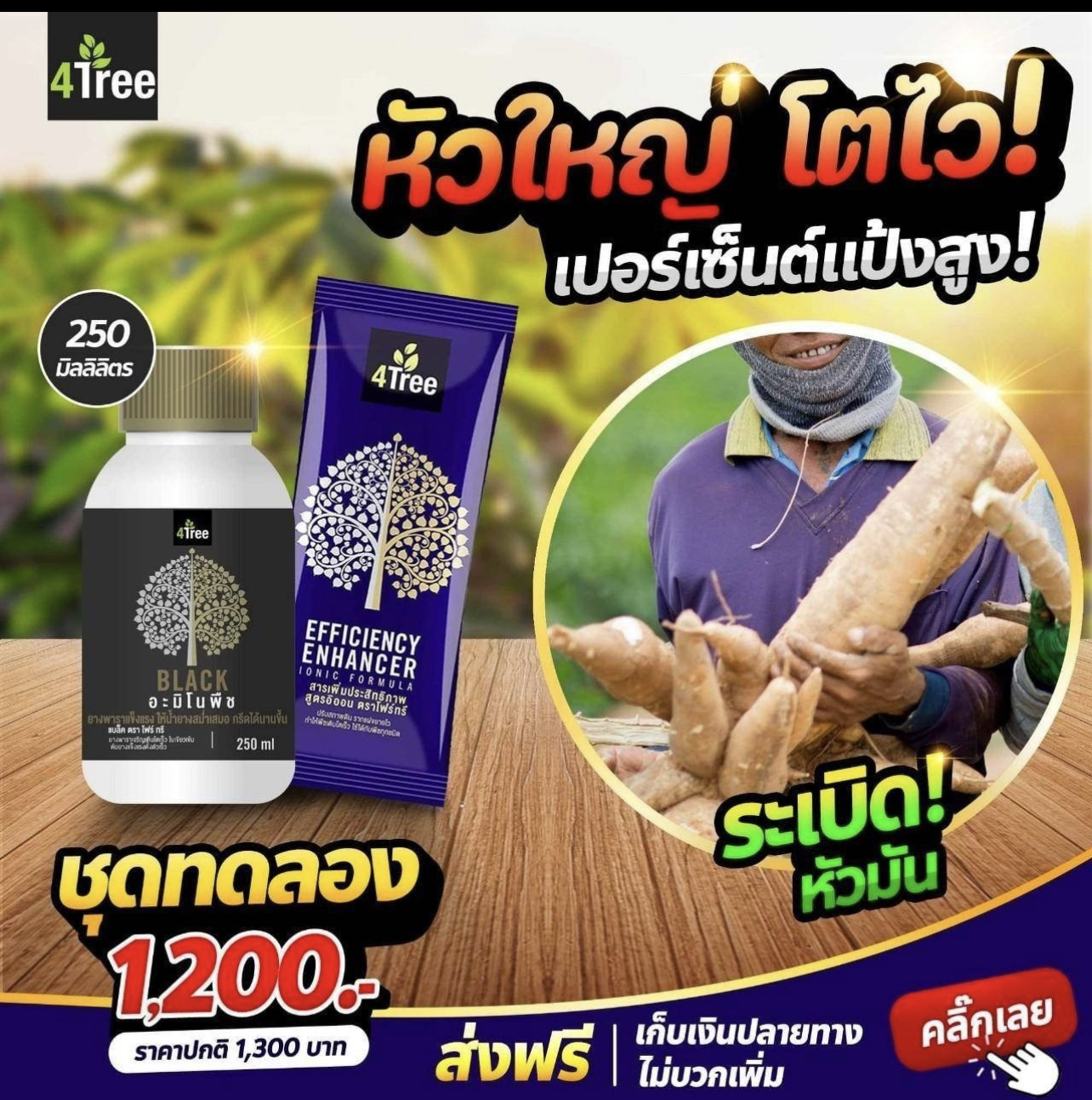 ชุดระเบิดหัวมัน ขนาดทดลอง 1200 บาท