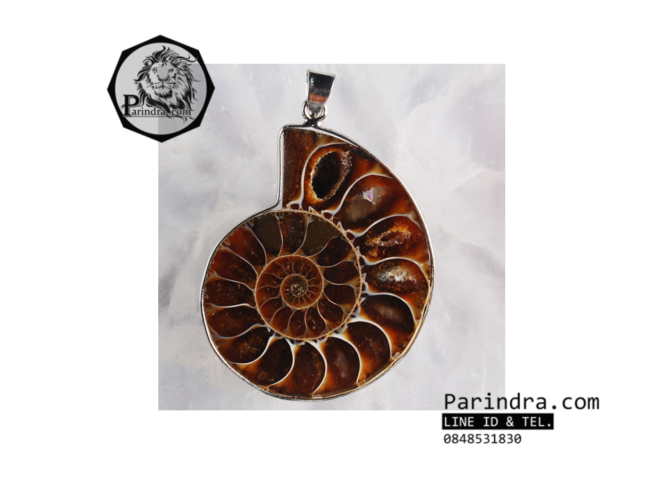 จี้สร้อยคอฟอสซิลหอยแอมโมไนท์ สีน้ำตาลไหม้ หายาก สมบูรณ์มาก แร่เต็ม สำหรับห้อยคอ หรือพวงกุญแจ คัดสวยพิเศษ ACC4