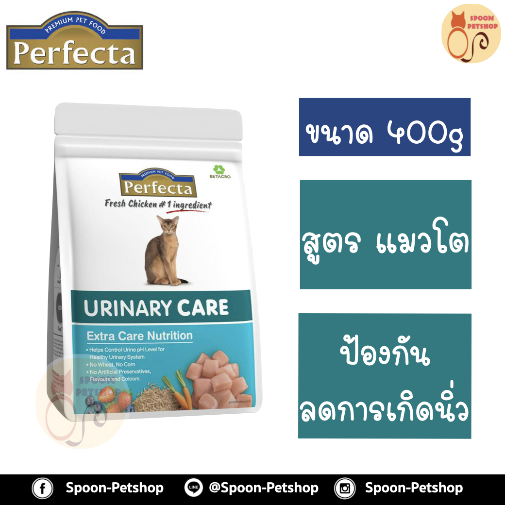 Perfecta อาหารแมว เพอร์เฟคต้า สูตรแมวโต ดูแลพิเศษ ป้องกันการเกิดนิ่ว 400g