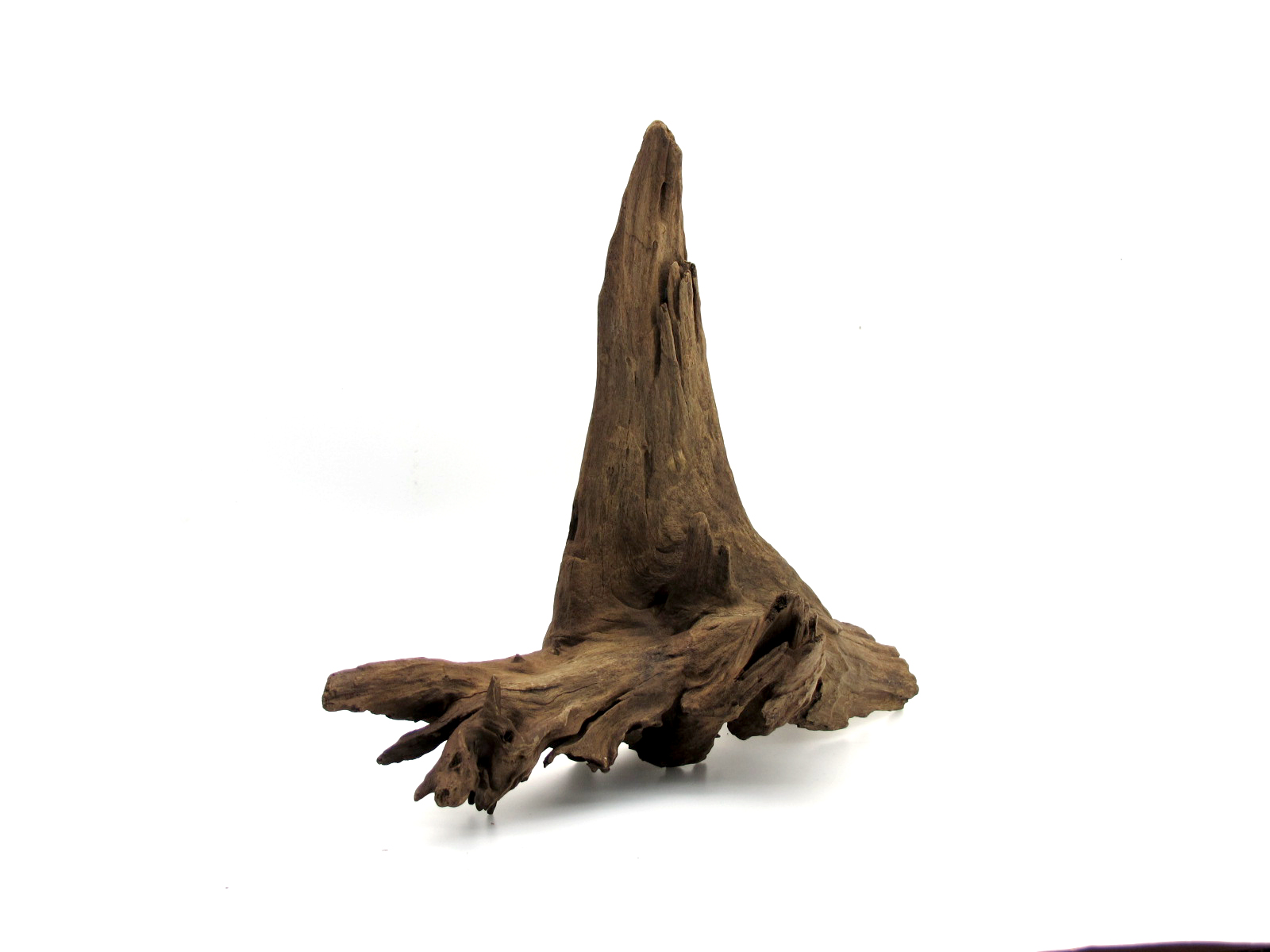 ขอนไม้ตกแต่งตู้ปลาหรือใช้เลี้ยงสัตว์เลื้อยคลาน 053