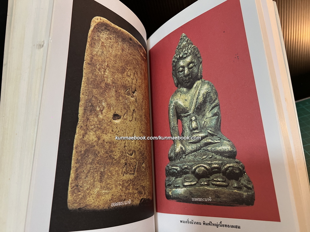 ยอดพระเกจิ รวมเล่มมาตรฐานฉบับ พระยอดนิยม ดิน-ชิน-ผง-เหรียญ * ตำหนิ