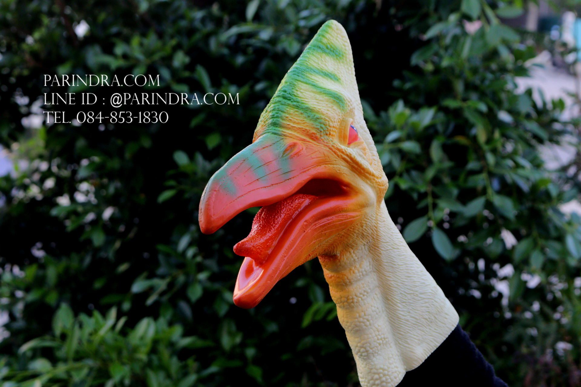 โมเดล ถุงมือยาง หัวนกไดโนเสาร์