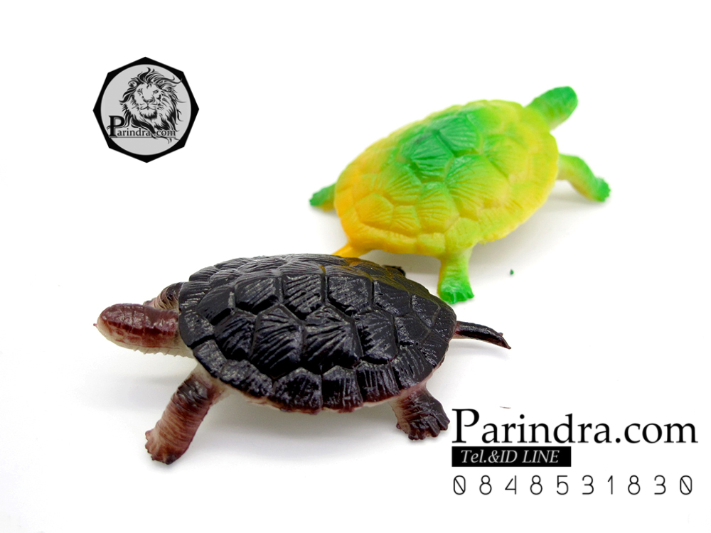 โมเดลเต่าญี่ปุ่น ชุดคู่สองตัว