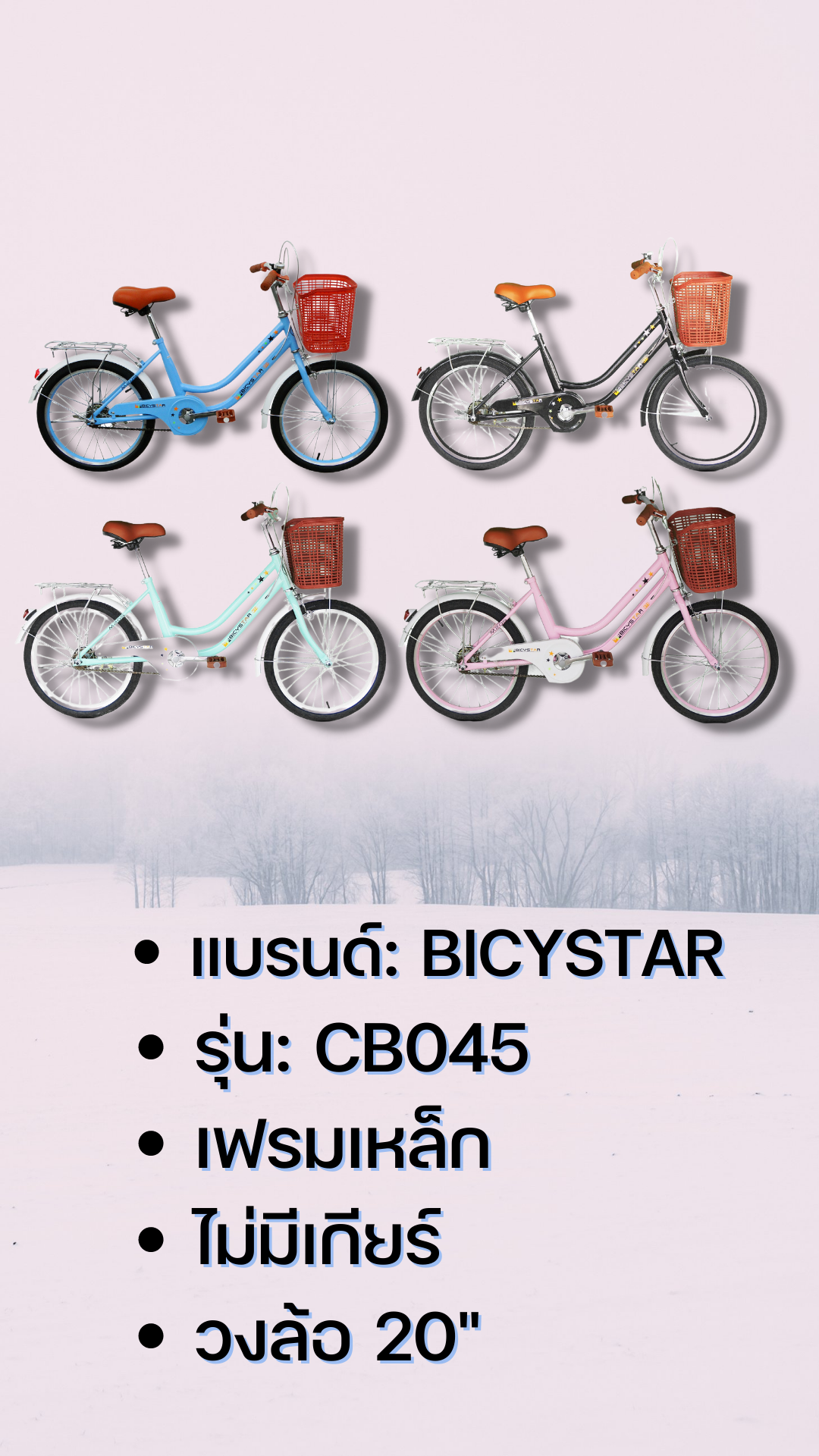 จักรยานแม่บ้าน BicyStar CB045 วงล้อ 20" ยางเติมลม เฟรมเหล็ก พร้อมตะกร้า บังโคลน
