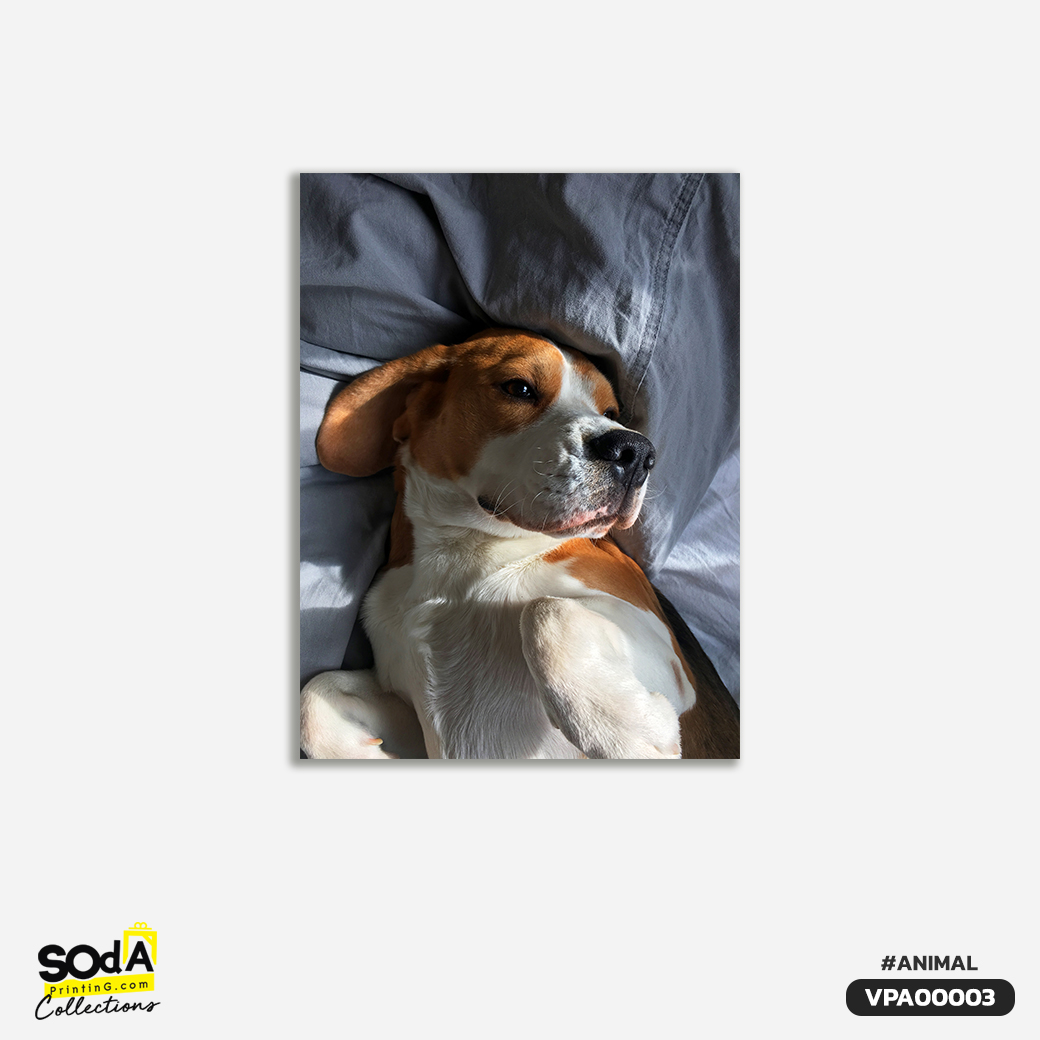 ภาพตกแต่งบ้านสำเร็จรูป Beagle Dog VPA00003 #SOdAcollection #ภาพตกแต่งบ้านสไตล์สัตว์ #สัตว์ #สัตว์เลี้ยง #ANIMAL