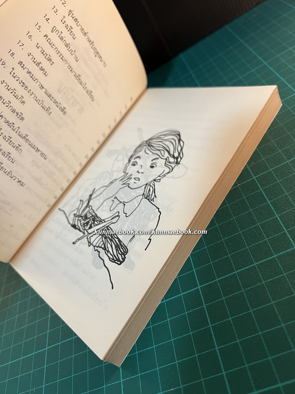 หนังสือชุดบ้านเล็กในป่าใหญ่ (The Little House Books) เล่ม 6 เมืองเล็กในทุ่งกว้าง