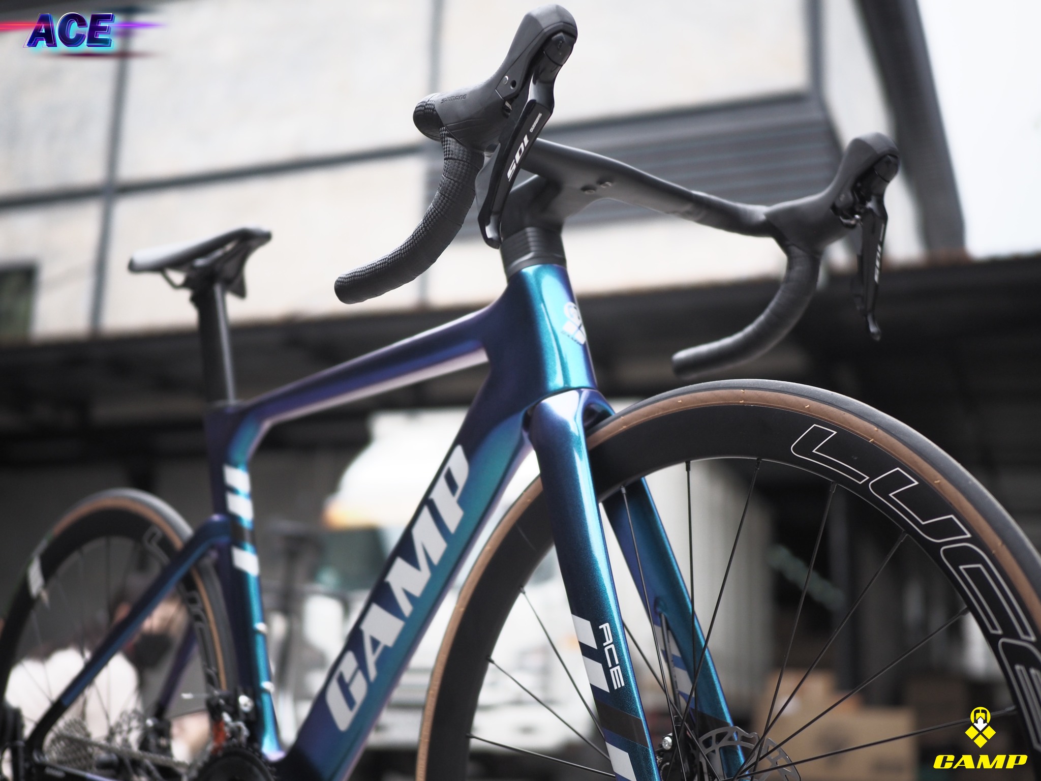 จักรยานเสือหมอบ CAMP ACE DISC Carbon Roadbike เกียร์ Shimano 105 2*11 สปีด ล้ออลู (Model 2022)