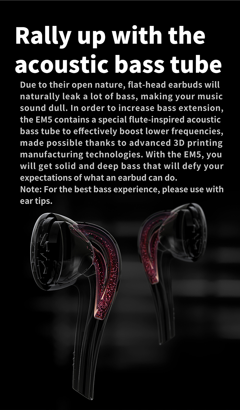 ขาย FiiO EM5 หูฟัง Earbud เทพ ไดรเวอร์ Dynamic เคลือบ Beryllium