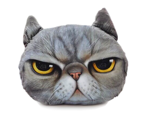 (พร้อมส่ง) หมอนหน้าน้องแมว 3 มิติ (50*40 cm.)