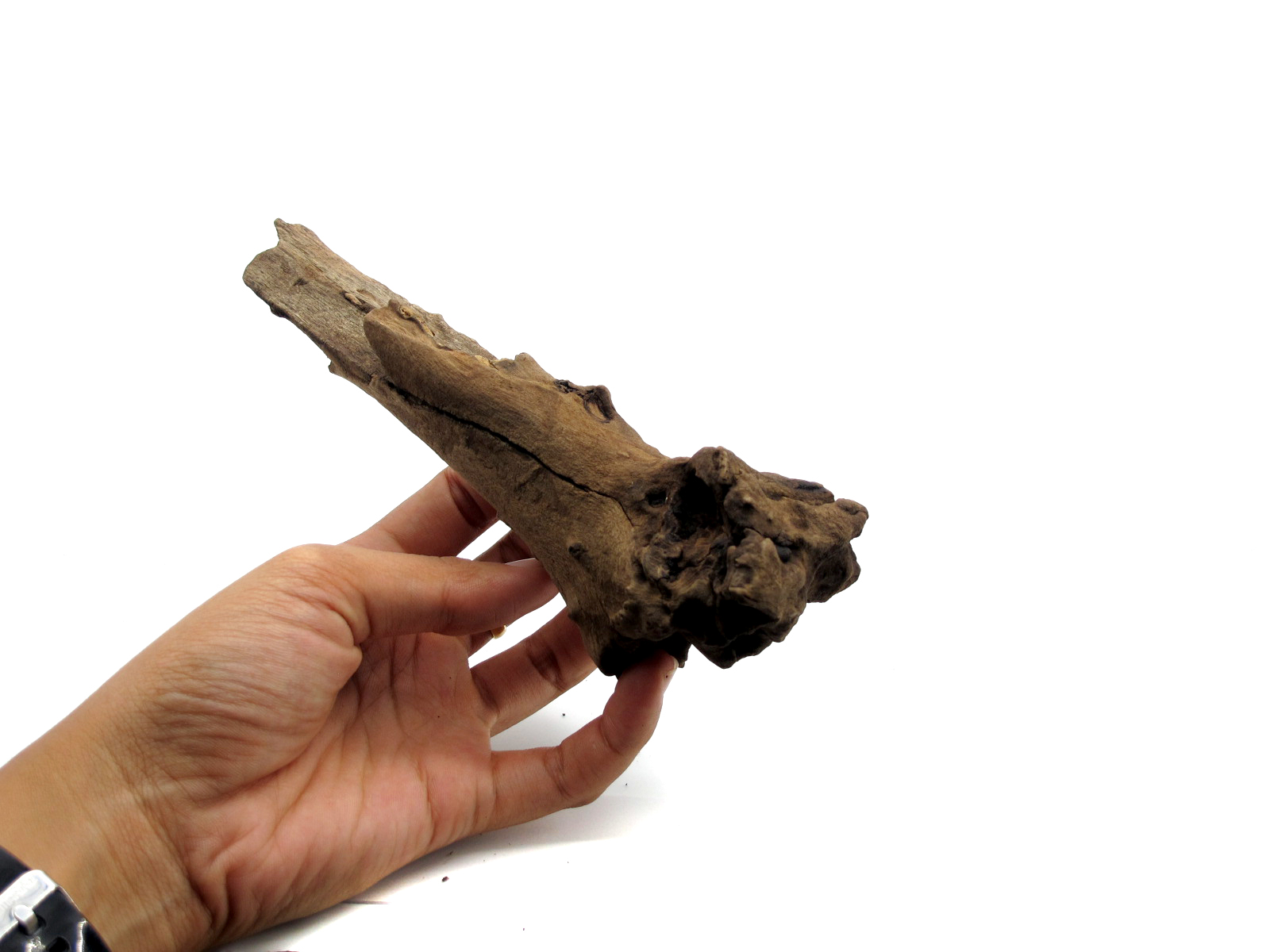 ขอนไม้ตกแต่งตู้ปลาหรือใช้เลี้ยงสัตว์เลื้อยคลาน 063