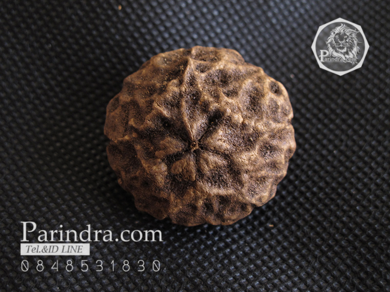 ว่านพระเจ้า 5 พระองค์ คัดสวยพิเศษ PS3