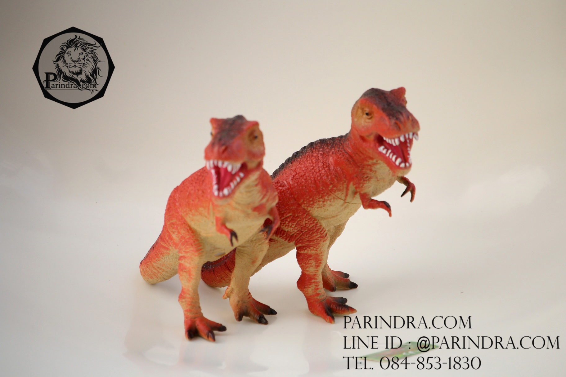 โมเดลไดโนเสาร์ Tyrannosaurus Rex (T-Rex)