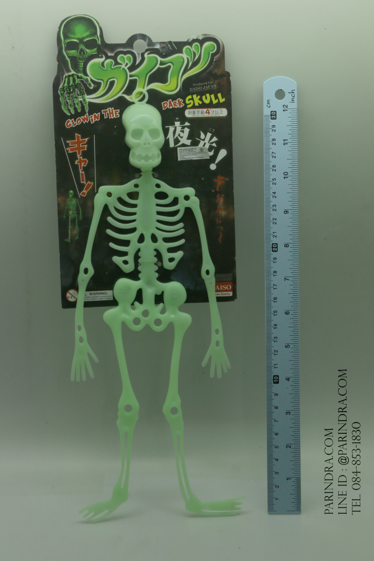 โมเดลโครงกระดูกเรืองแสง Glow in the Dark Skeleton (น้าผีเรืองแสง)