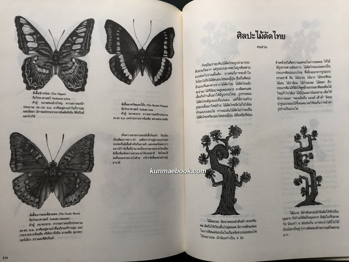 นิตยสาร คอลเล็คชั่น แอนด์ เฮ้าส์ พิเศษ'91 ศิลปล้ำค่าและพระบรมฉายาลักษณ์ พระบาทสมเด็จพระจุลจอมเกล้าเจ้าอยู่หัว