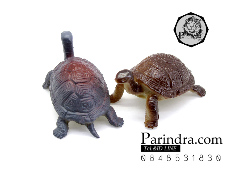 โมเดลเต่ายักษ์กาลาปากอส ชุดคู่สองตัว