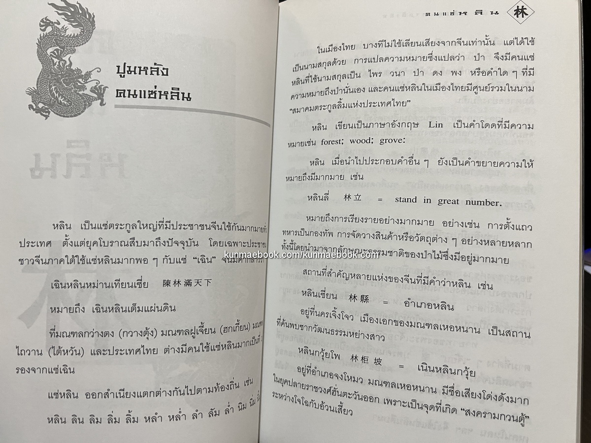 ร้อยแช่พันธุ์มังกร ภาคพิเศษ คนแซ่หลิน