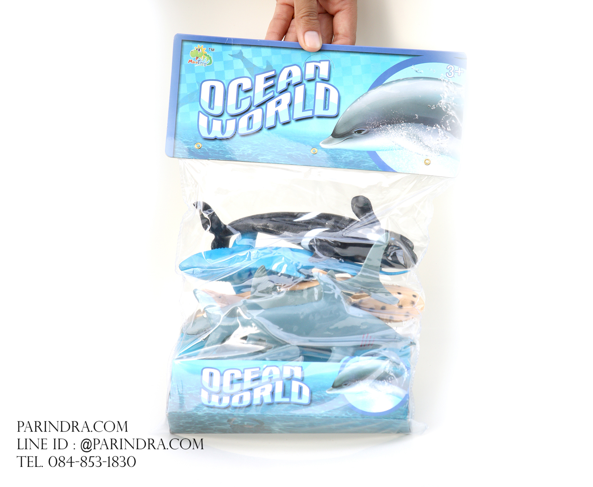 โมเดลสัตว์ทะเล ชุด Ocean World กลุ่มปลาฉลามหลากหลายสายพันธุ์