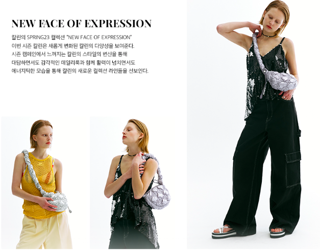 PRE กระเป๋า #Carlyn Bag รุ่น Poing สีเงิน 21x17x7 CM (นำเข้าของแท้ 100%) - นำเข้า 10-25 วัน-