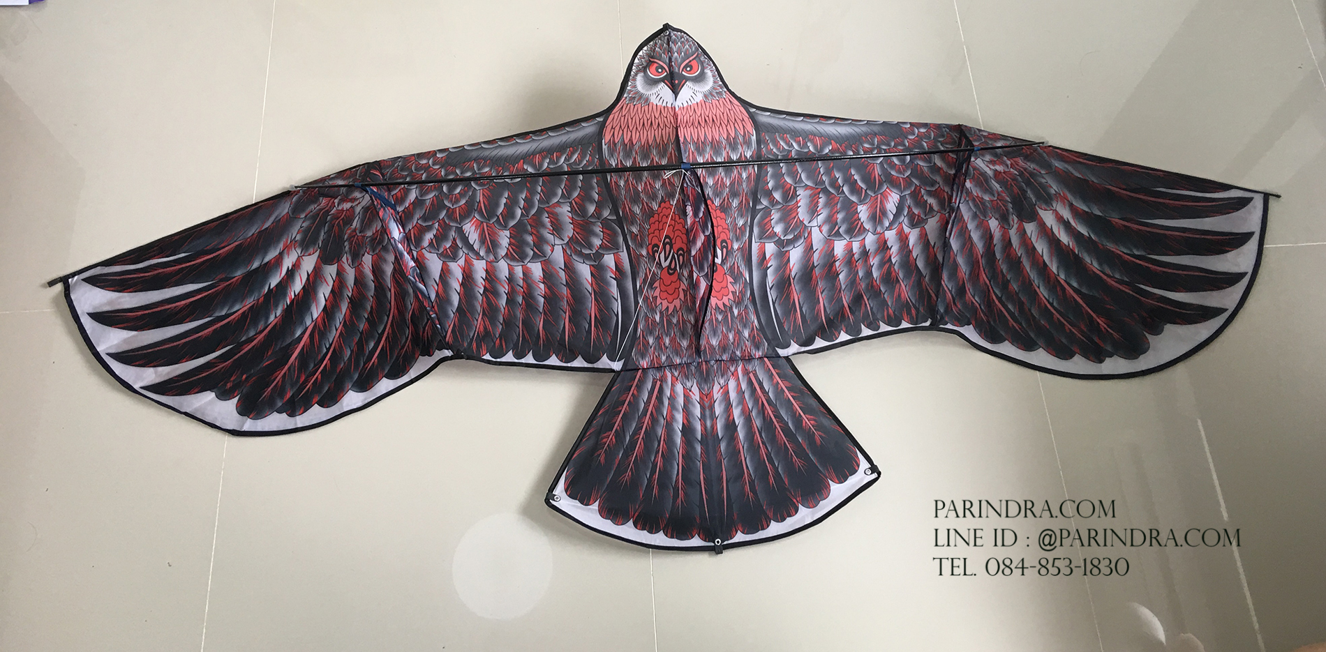 ว่าวนกอินทรีย์ ต่างประเทศ ขนาดปีก 1.9 เมตร น่าเล่น