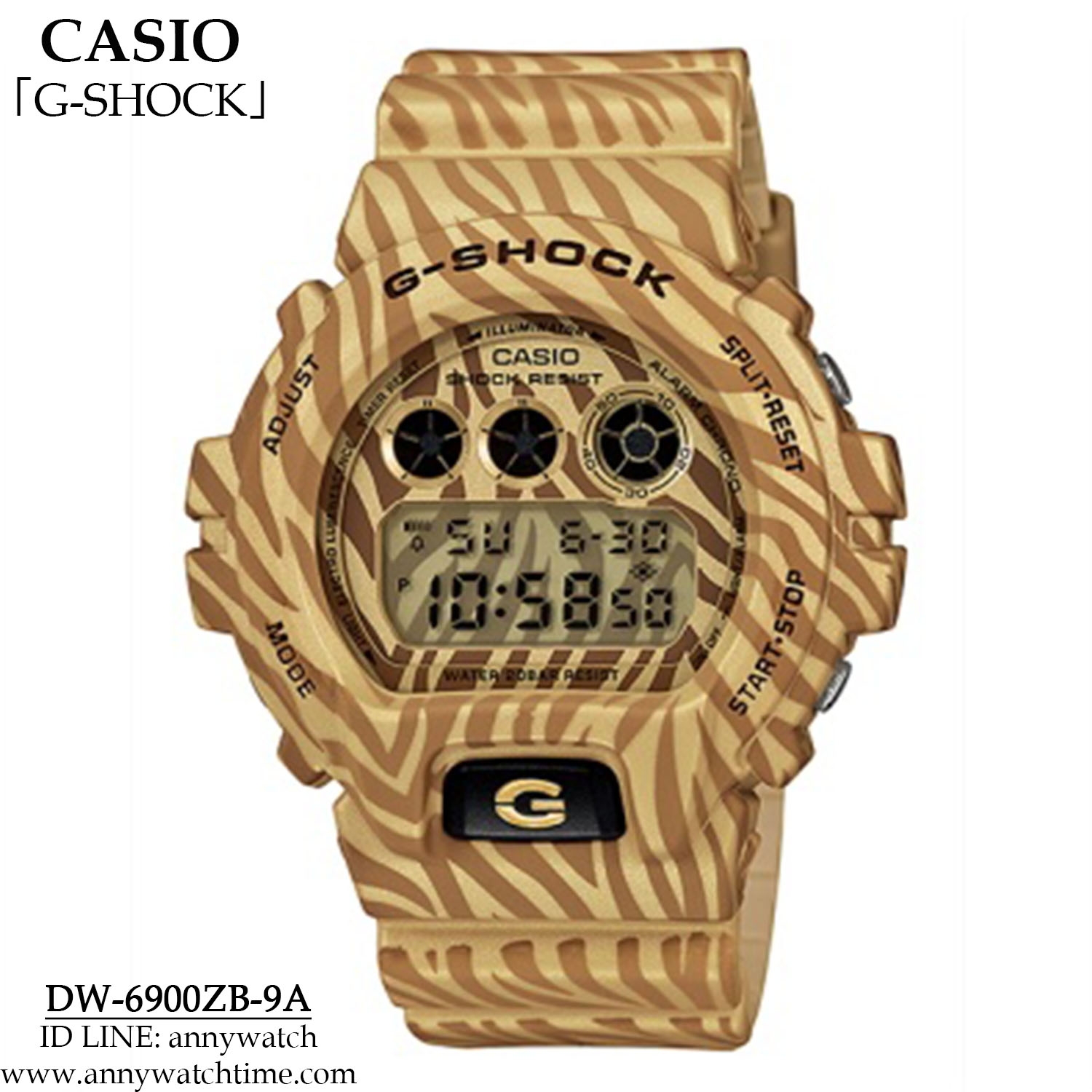 G-SHOCK DW-6900ZB-9A