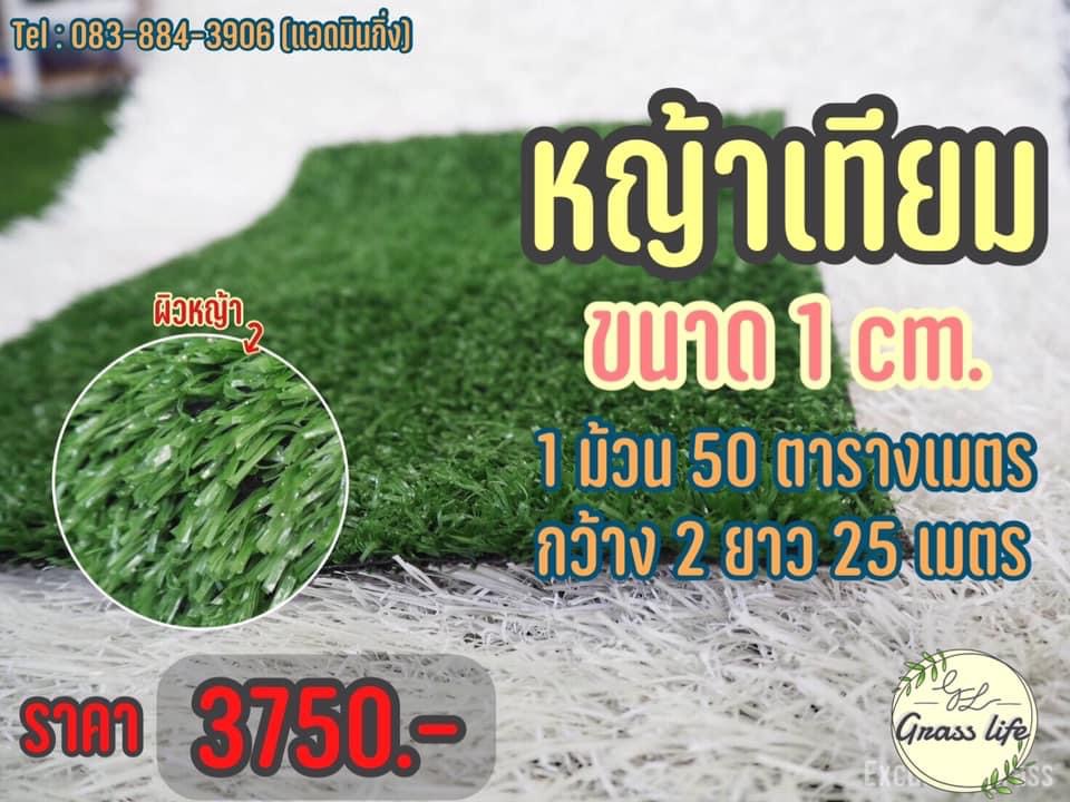 หญ้าเทียม 1 CM