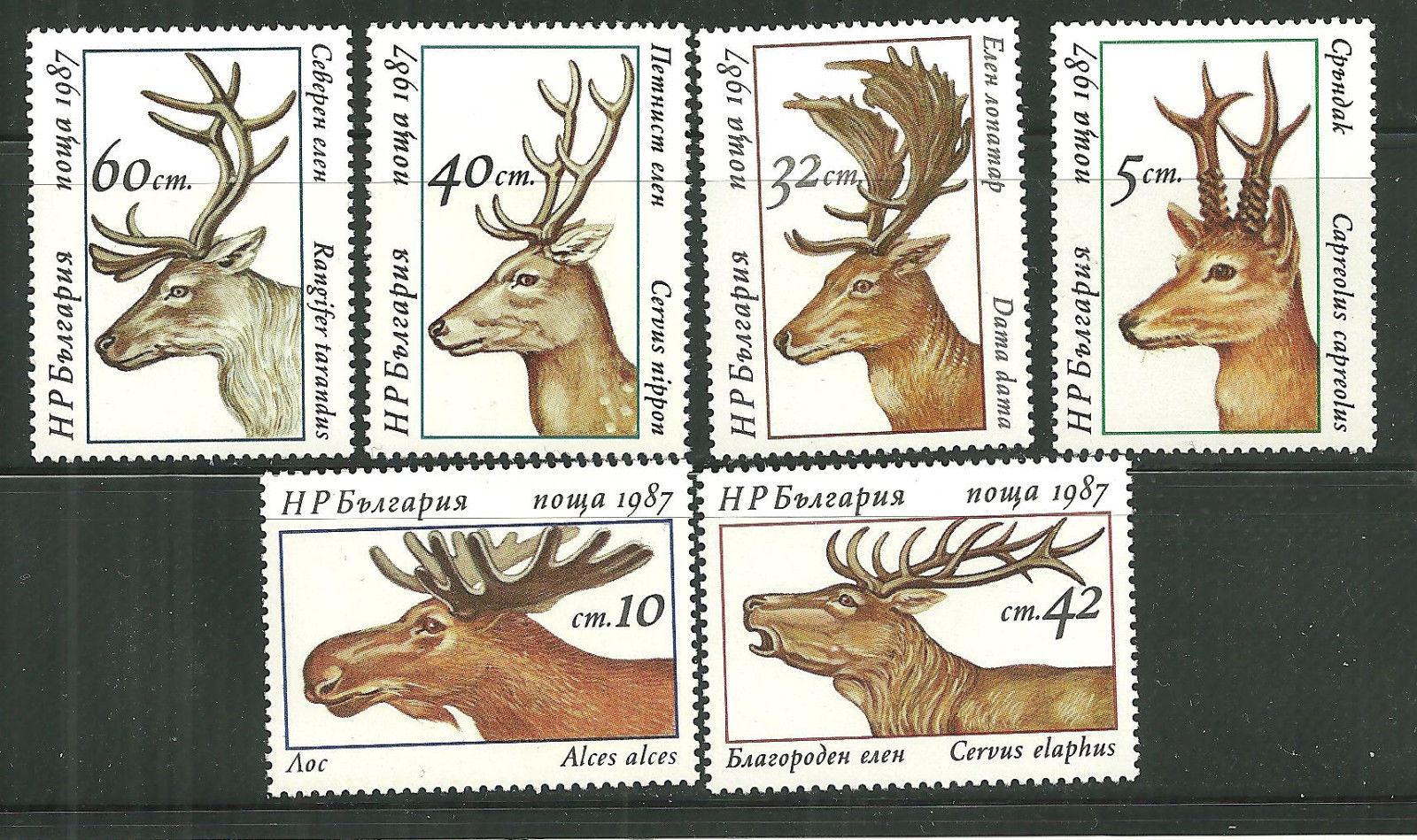 แสตมป์บัลแกเรีย ชุด DEER กวางชนิดต่างๆ ปี 1987 - Bulgaria