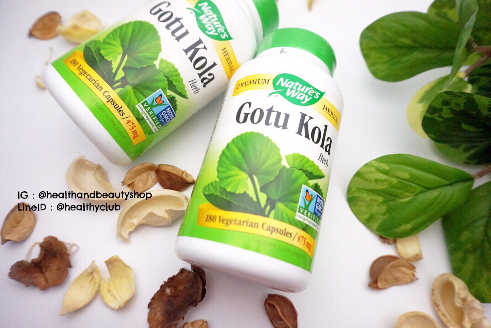 # รอยแผล ฟก ช้ำ # Nature's Way, Gotu Kola, Herb, 180 Capsules
