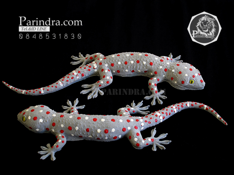 ตุ๊กแกปลอมตัวใหญ่ มาใหม่ เหมือนจริงมาก ขนาด 11 นิ้ว ตัวพ่อ