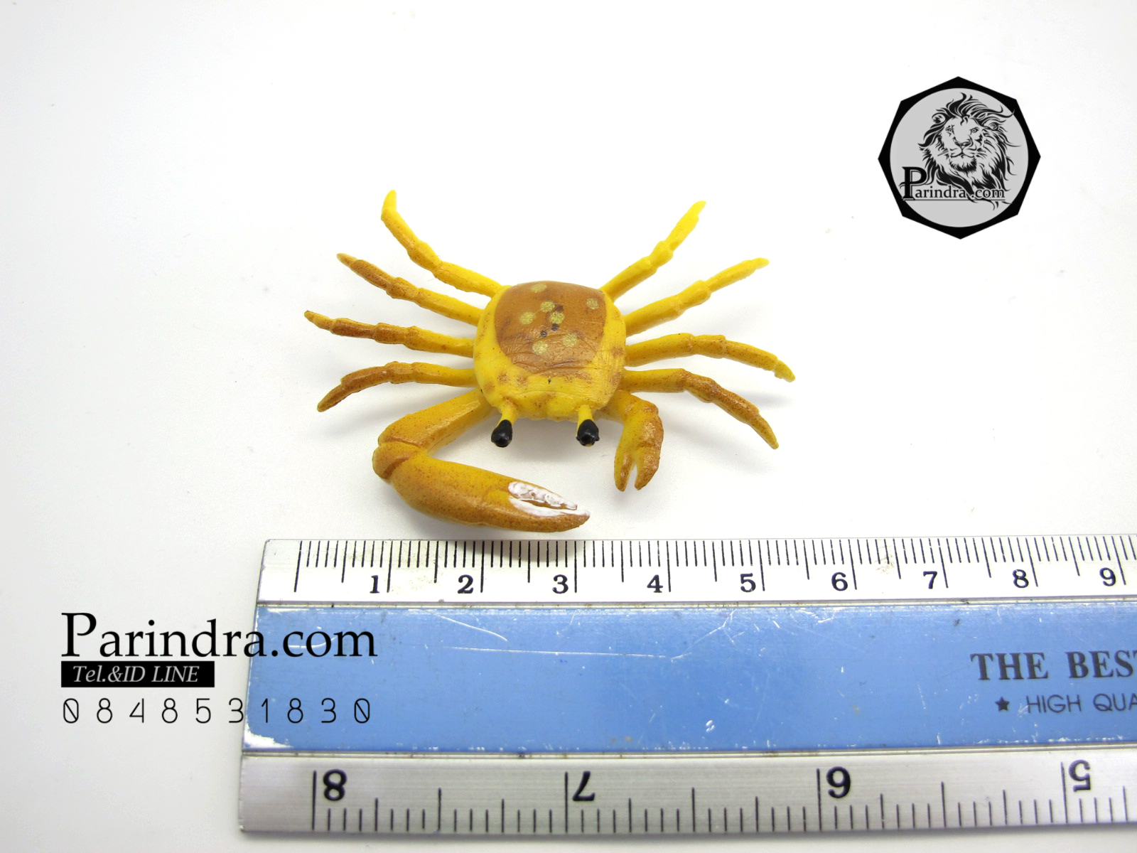 โมเดลชุดปูทะเล Educational Toys SEA CRAB มีหลายสีหลายชนิด ครบชุด 6 ตัว