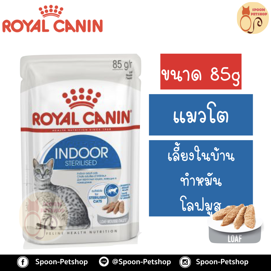 Royal Canin Indoor Sterilised Loaf อาหารแมว โรยัล คานิน แบบเปียก สำหรับแมวโต 1-10 ปี เลี้ยงในบ้าน ที่ทำหมันแล้ว เนื้อโลฟมูส