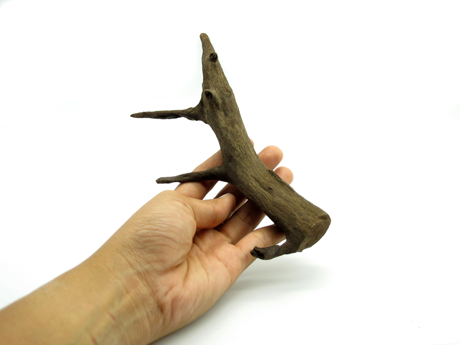 ขอนไม้ตกแต่งตู้ปลาหรือใช้เลี้ยงสัตว์เลื้อยคลาน 058