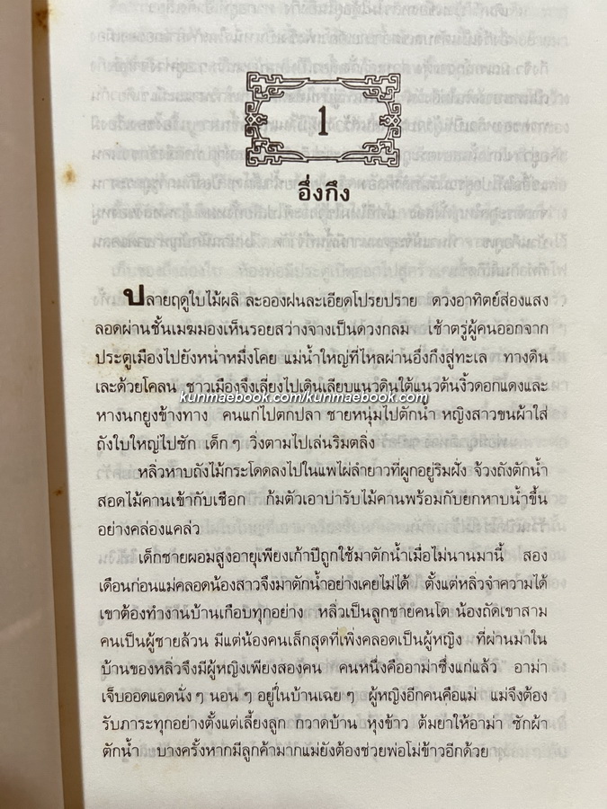 นายวาณิช สาระชีวิตใช่จะมีเพียงเงินตรา ( ชีวประวัติเถ้าแก่หลิว ) โดย พญ.ลลิตา ธีระสิริ