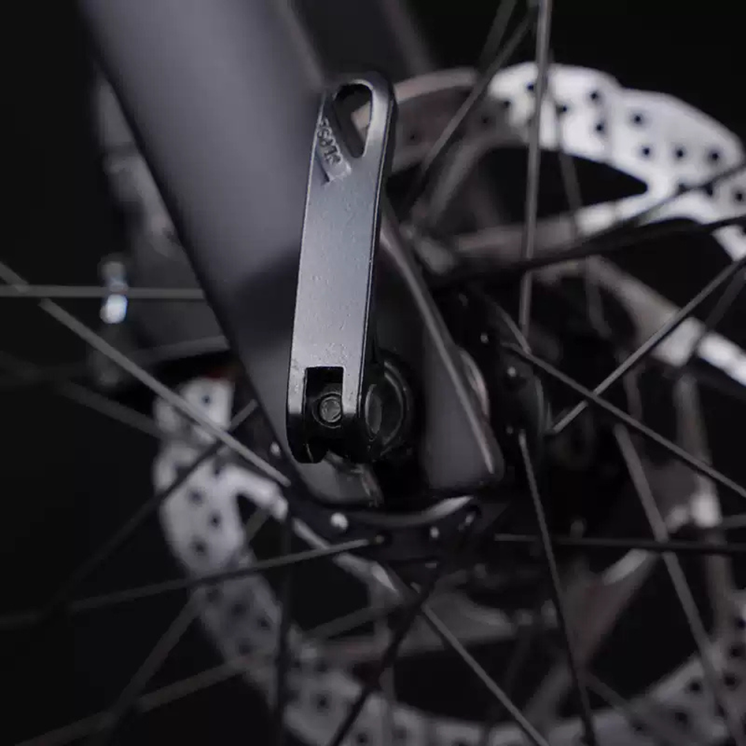 Phoenix LR Ultra Electric Bike 48V | 700C Road E-Bike | 10-20AH Battery | 10-12 Speed | Best Price