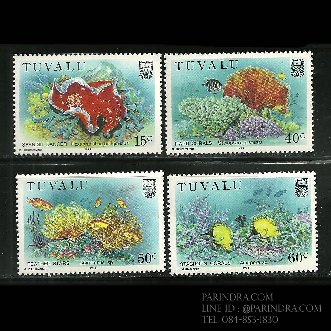 แสตมป์ตูวาลู ชุด ปะการังและดอกไม้ทะเล MARINE LIFE ปี 1988 - TUVALU