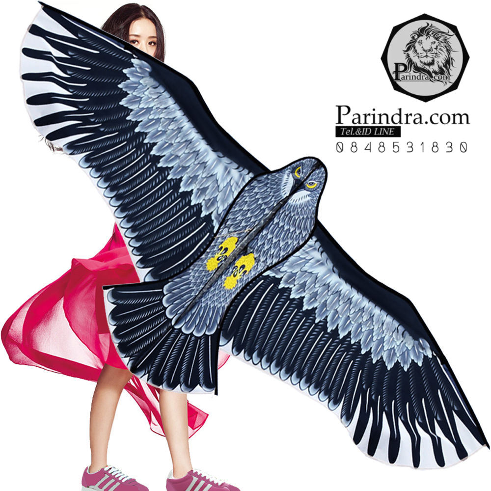 ว่าวนกอินทรีย์ ต่างประเทศ ขนาดปีก 1.5 เมตร น่าเล่นครับ