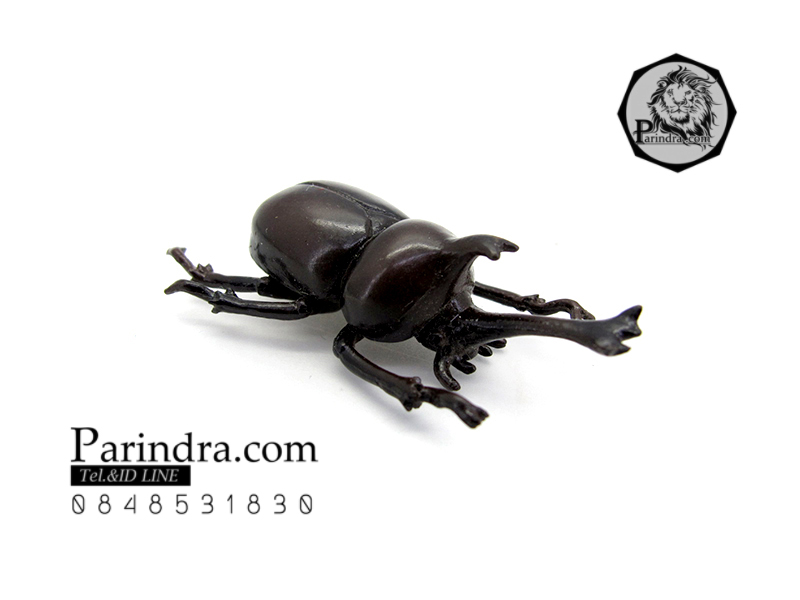 โมเดลด้วง