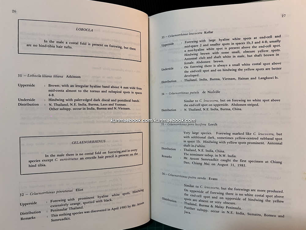 Butterflies in Thailand Volume 5 By Bro.Amnuay Pinratana