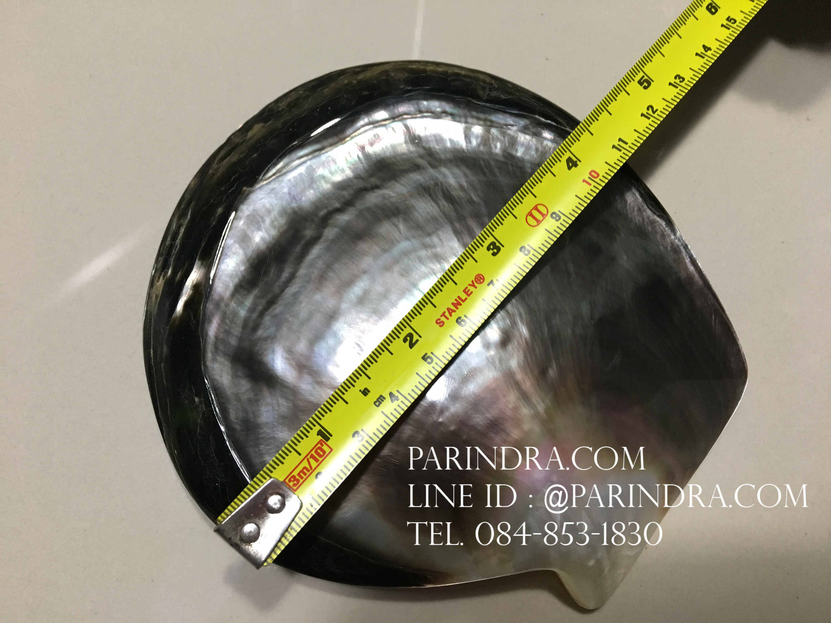 เปลือกหอยมุกจานดำ Black Pearl ขัดมันแวววาว สวยงาม