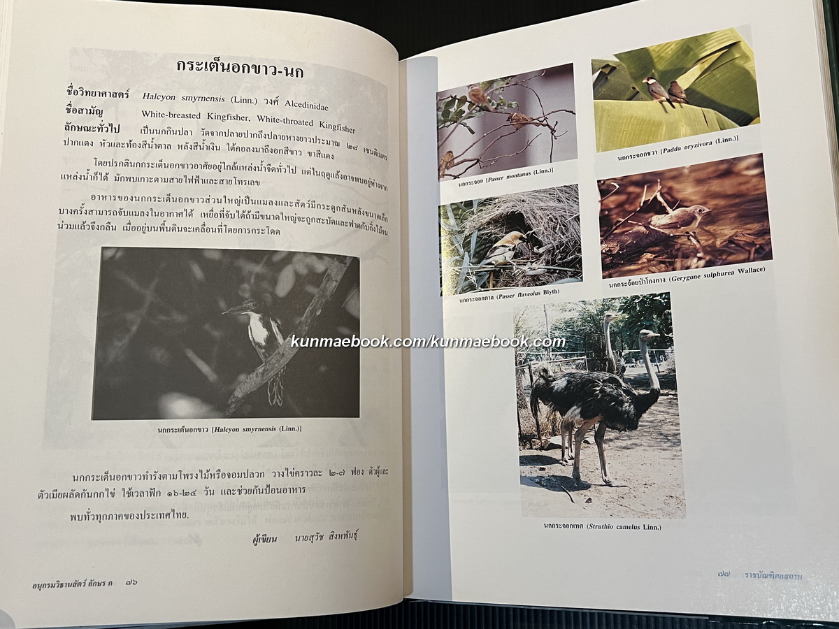 อนุกรมวิธานสัตว อักษร ก ฉบับราชบัณฑิตยสถาน