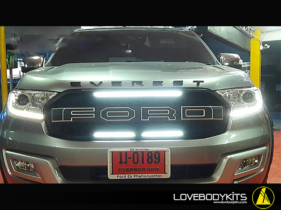 กระจังหน้า RAPTOR 3 : EVEREST 2015-2017