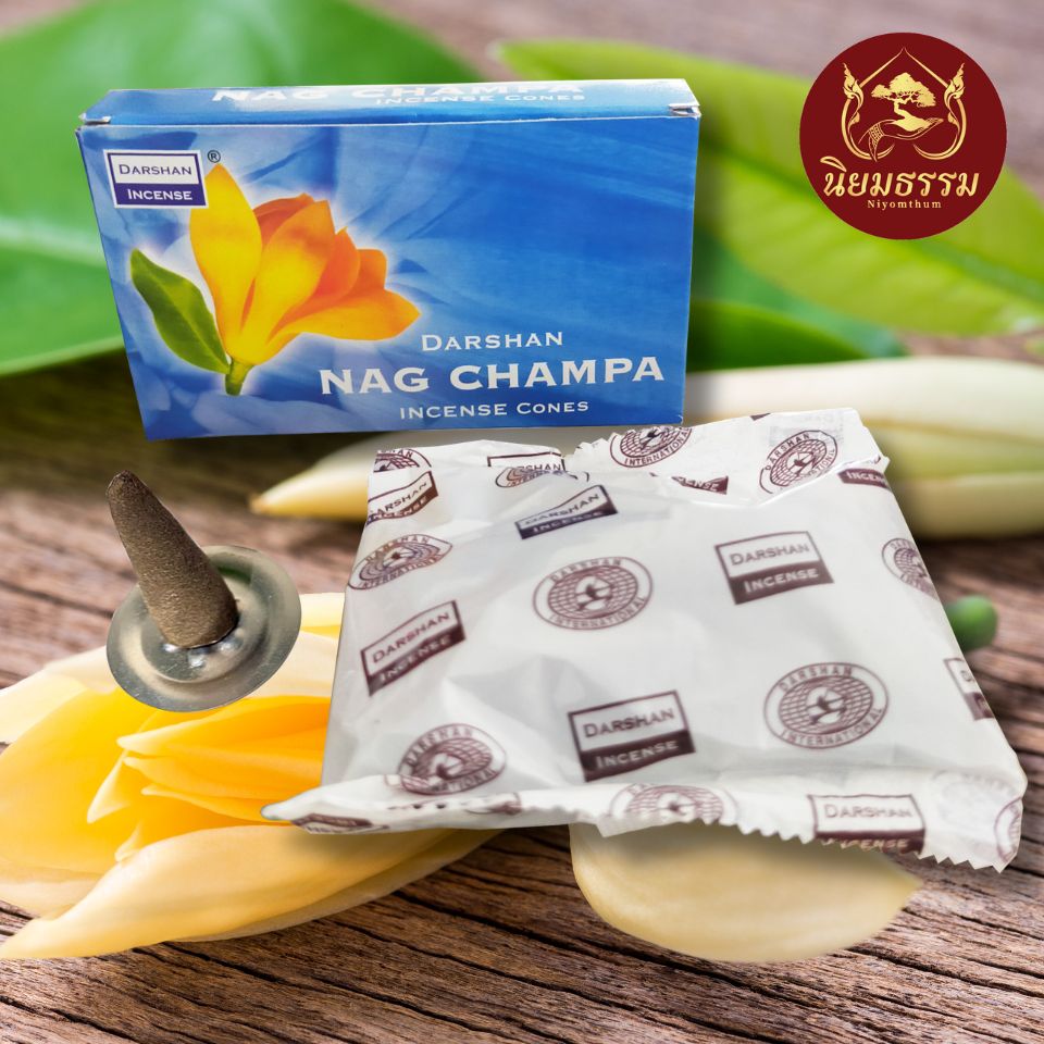 กำยาน ดาร์ชาน Darshan ของแท้ กลิ่น จำปา Champa Incents cone