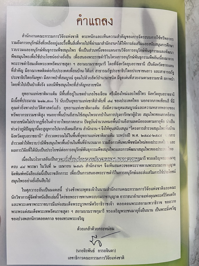 ไม้ยาที่ผาแต้ม โดย สำนักงานคณะกรรมการวิจัยแห่งชาติ