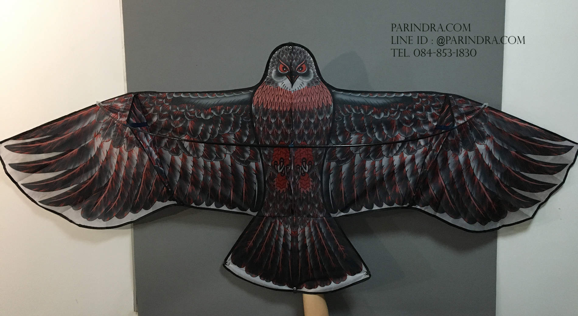 ว่าวนกอินทรีย์ ต่างประเทศ ขนาดปีก 1.9 เมตร น่าเล่น