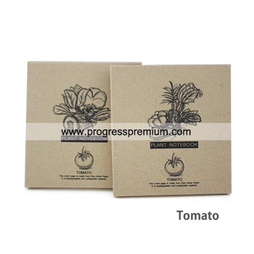 กระดาษโน๊ต Eco