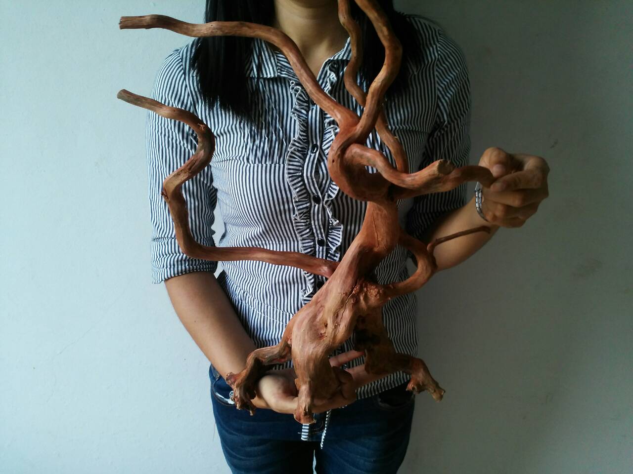 รากไม้แดงตกแต่งตู้ปลาหรือใช้เลี้ยงสัตว์เลื้อยคลาน ขนาดใหญ่ สูง 17 นิ้ว 026