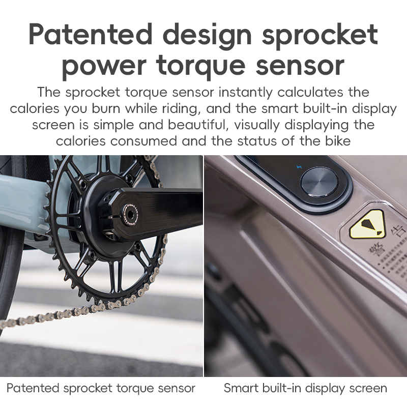 ROCKBROS FTR E-BIKE จักรยานไฟฟ้าคาร์บอน 13.8 กก. | มอเตอร์ 250W | แบต LG | วิ่ง 150 กม. | L-TWOO 11 สปีด