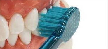 Ebisu Zero Premium 62 แปรงสีฟันออกแบบพิเศษ