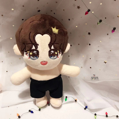 ตุ๊กตาหวังอี้ป๋อ 20 cm. (ตัวเปล่า)