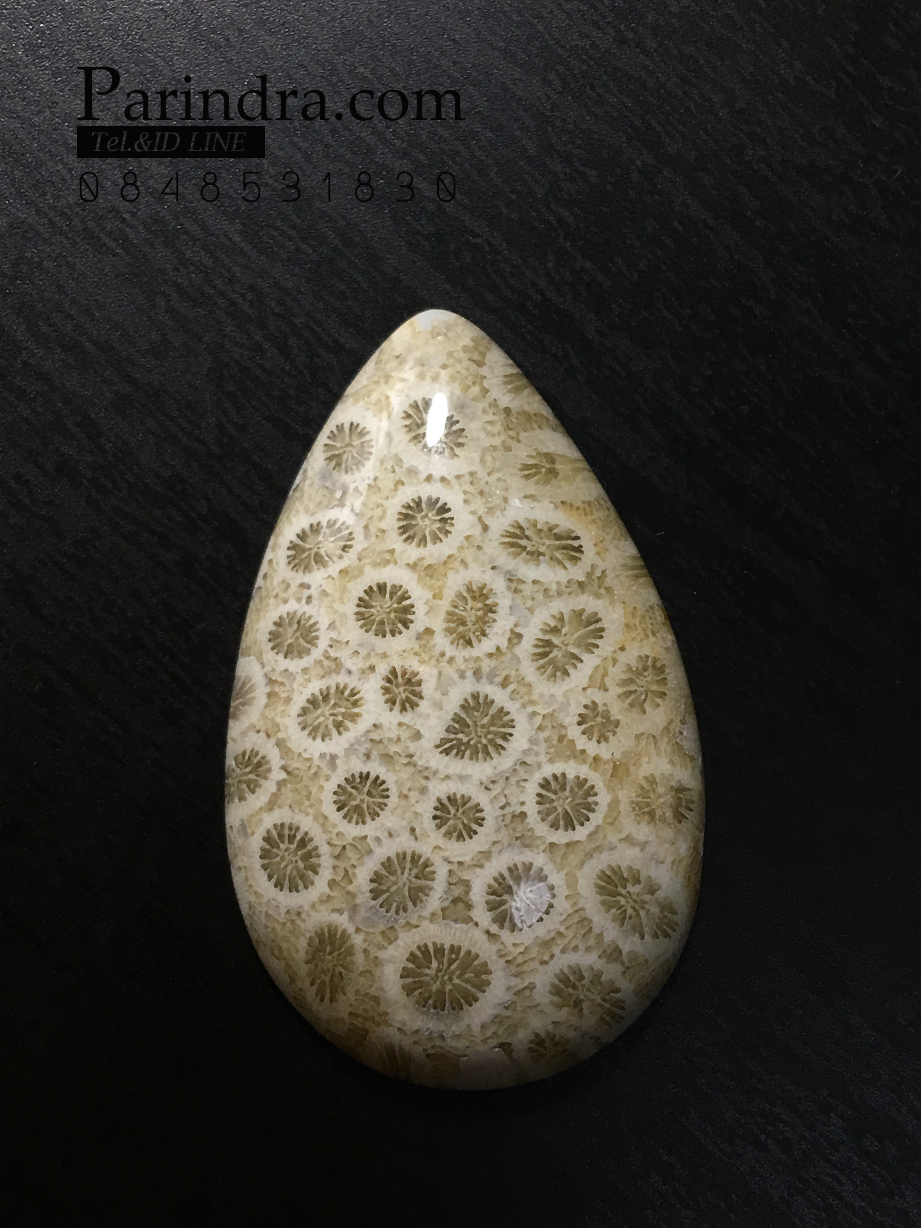 ฟอสซิลหินปะการังขัด Fossil Coral ใหญ่และหนา สำหรับห้อยคอ หรือ พวงกุญแจ คัดสวยพิเศษ #CRF033