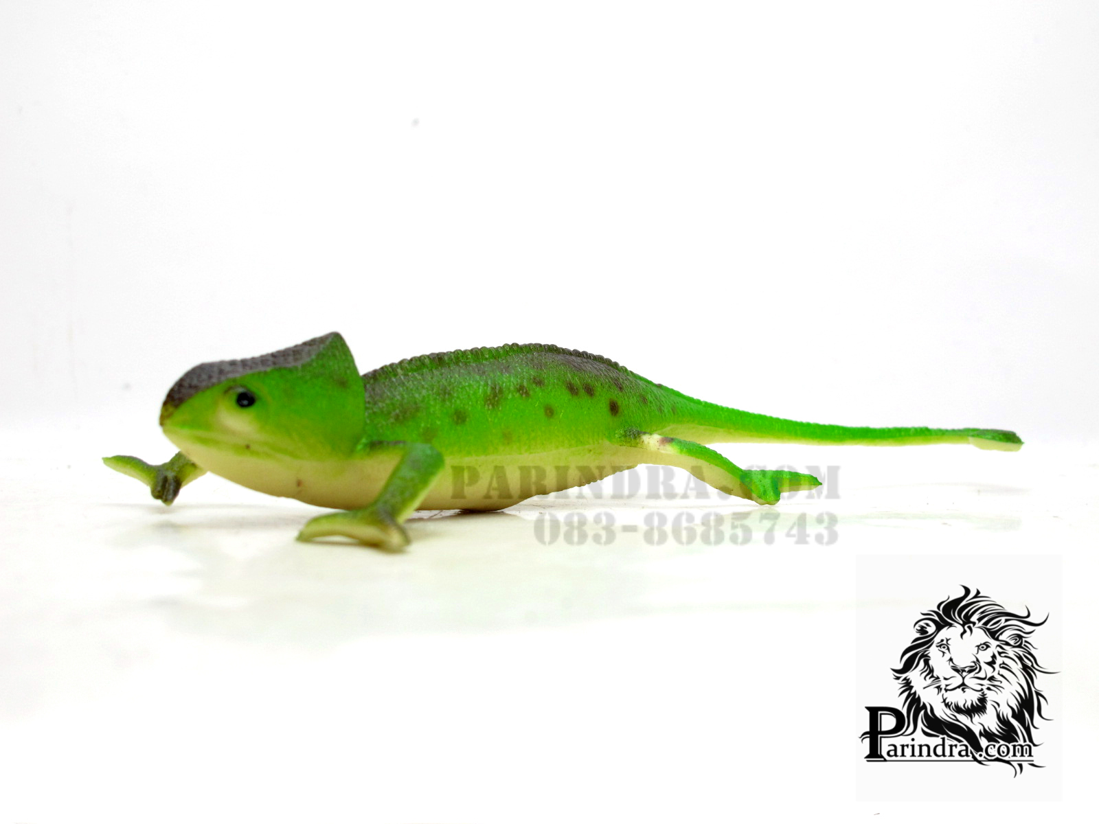 โมเดลกิ้งก่าคาเมเลี่ยน Chameleon Model